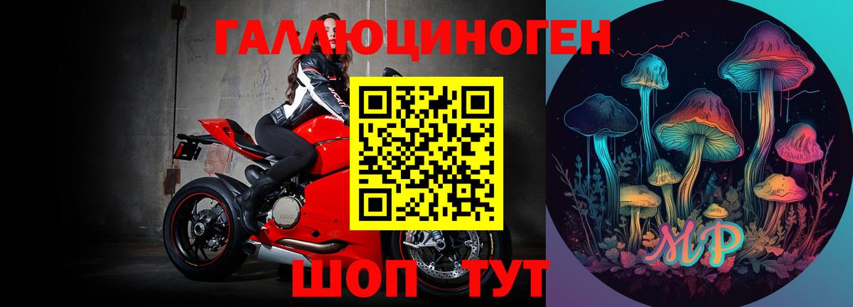 Кингисепп  где можно купить наркотик  Вход с VPN  Псилоцибиновые грибы мицелий 